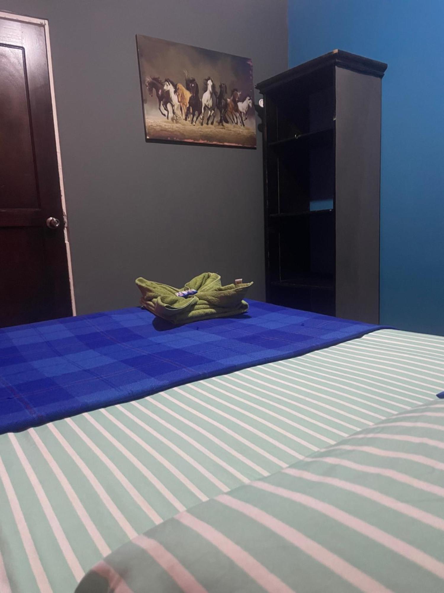 Hostal Vista Boquete Bajo Boquete 外观 照片