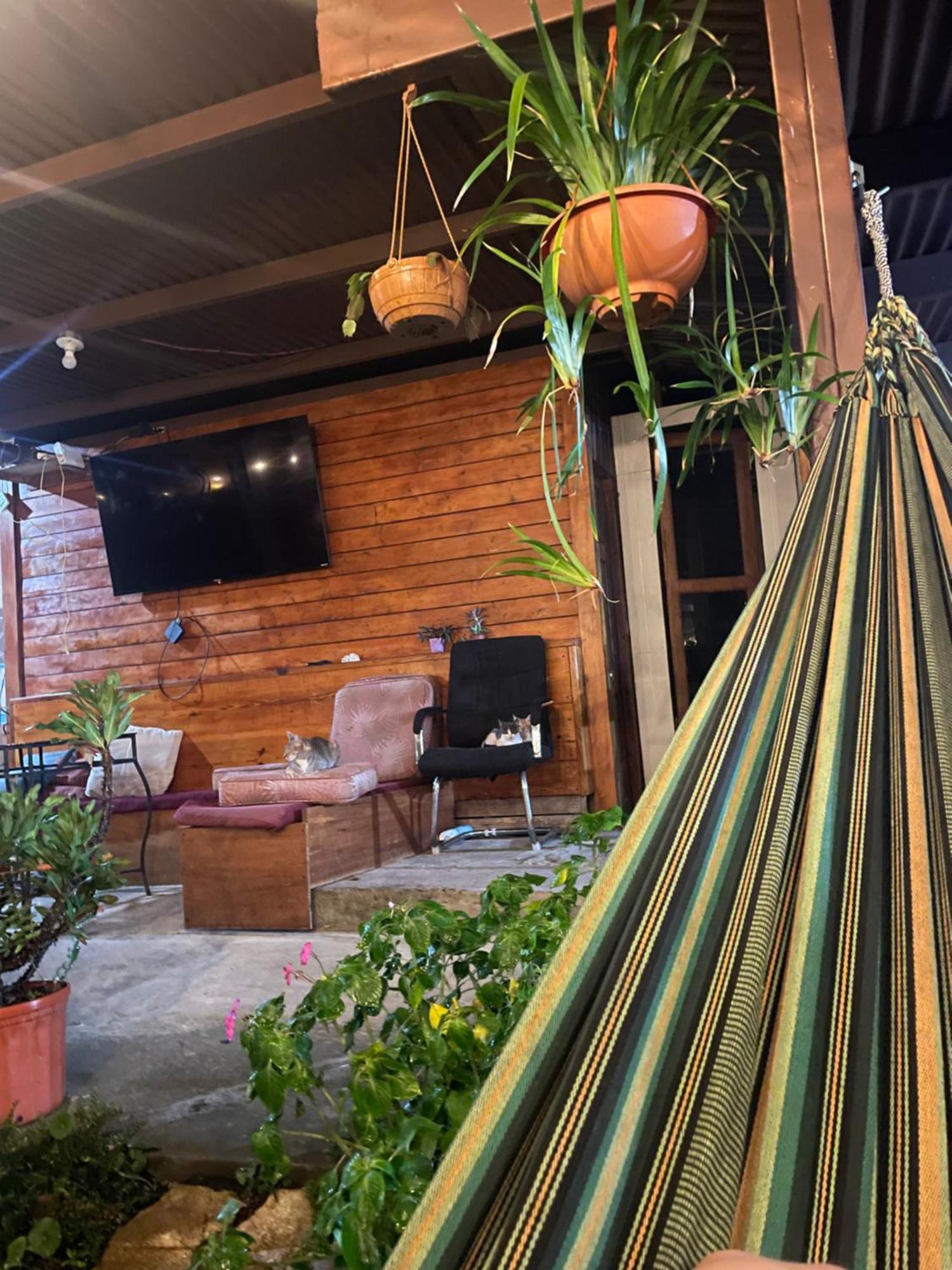 Hostal Vista Boquete Bajo Boquete 外观 照片