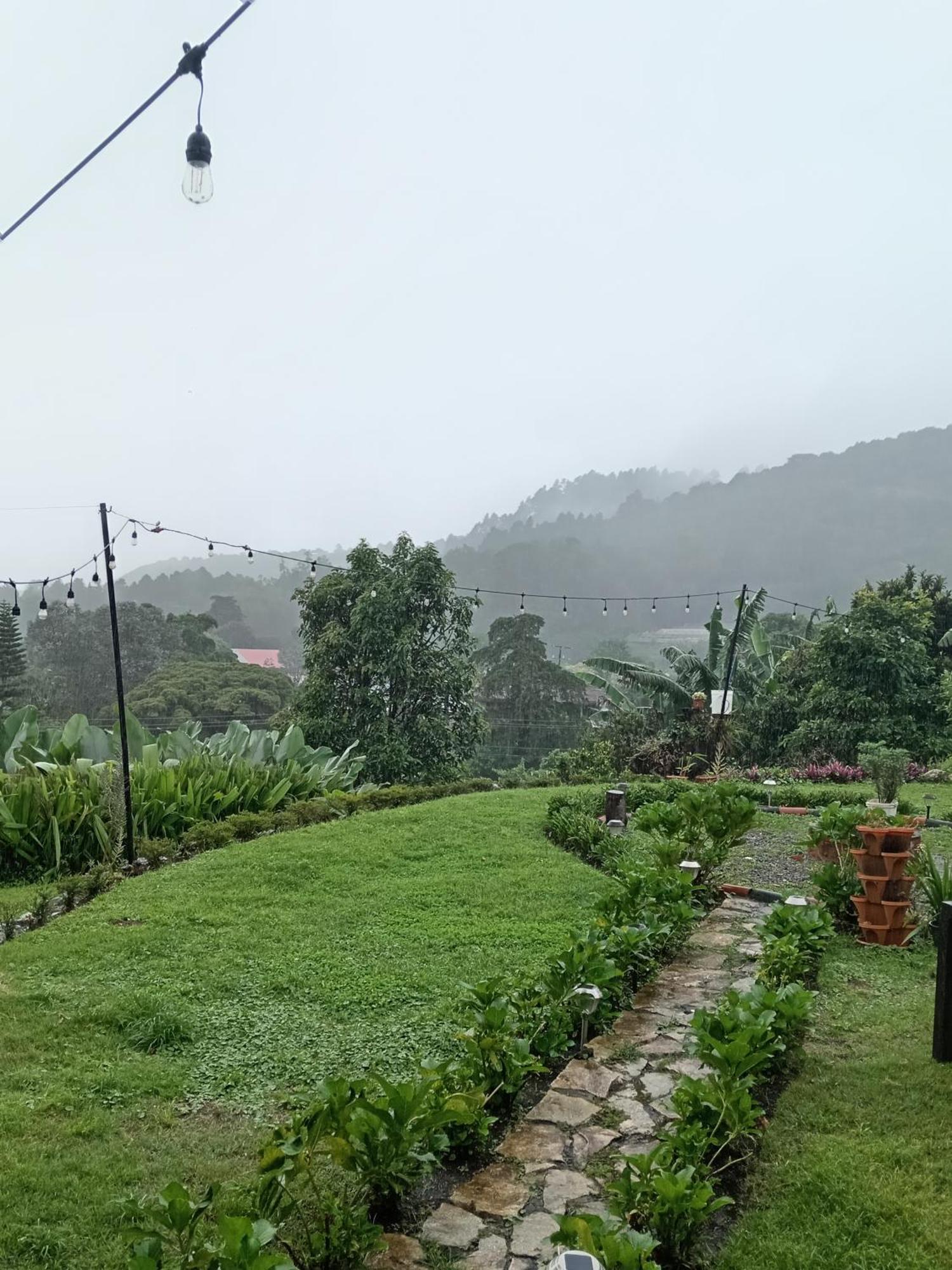 Hostal Vista Boquete Bajo Boquete 外观 照片
