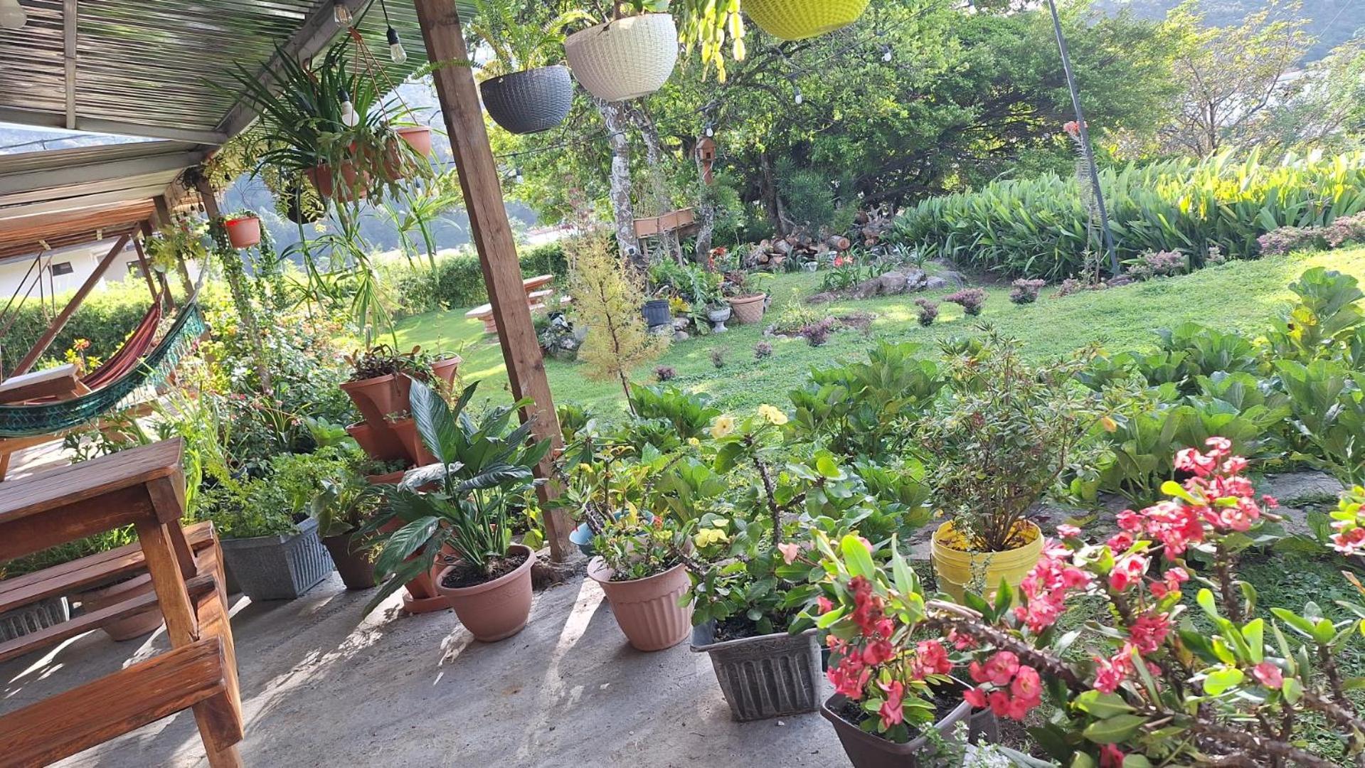 Hostal Vista Boquete Bajo Boquete 外观 照片