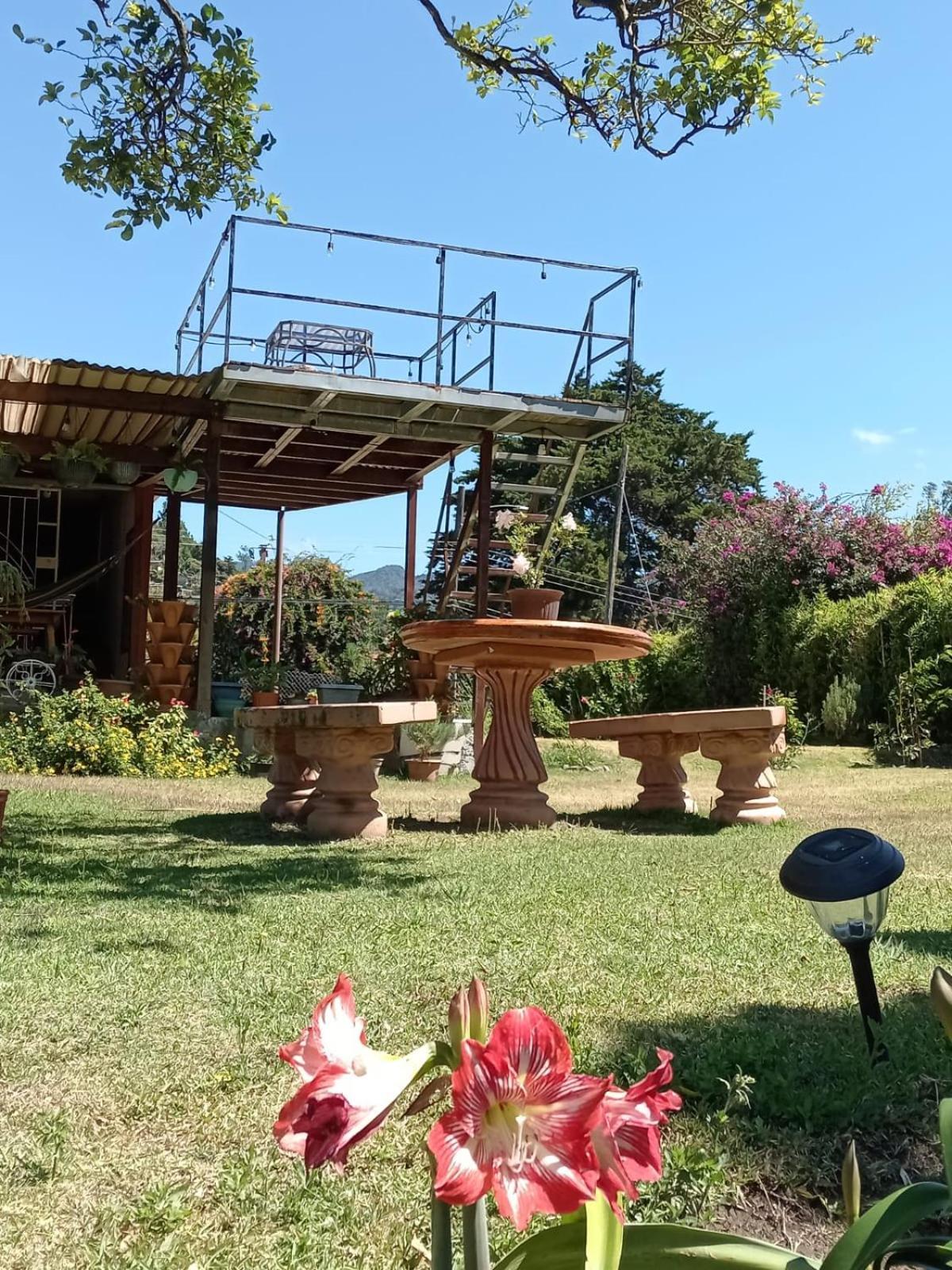 Hostal Vista Boquete Bajo Boquete 外观 照片