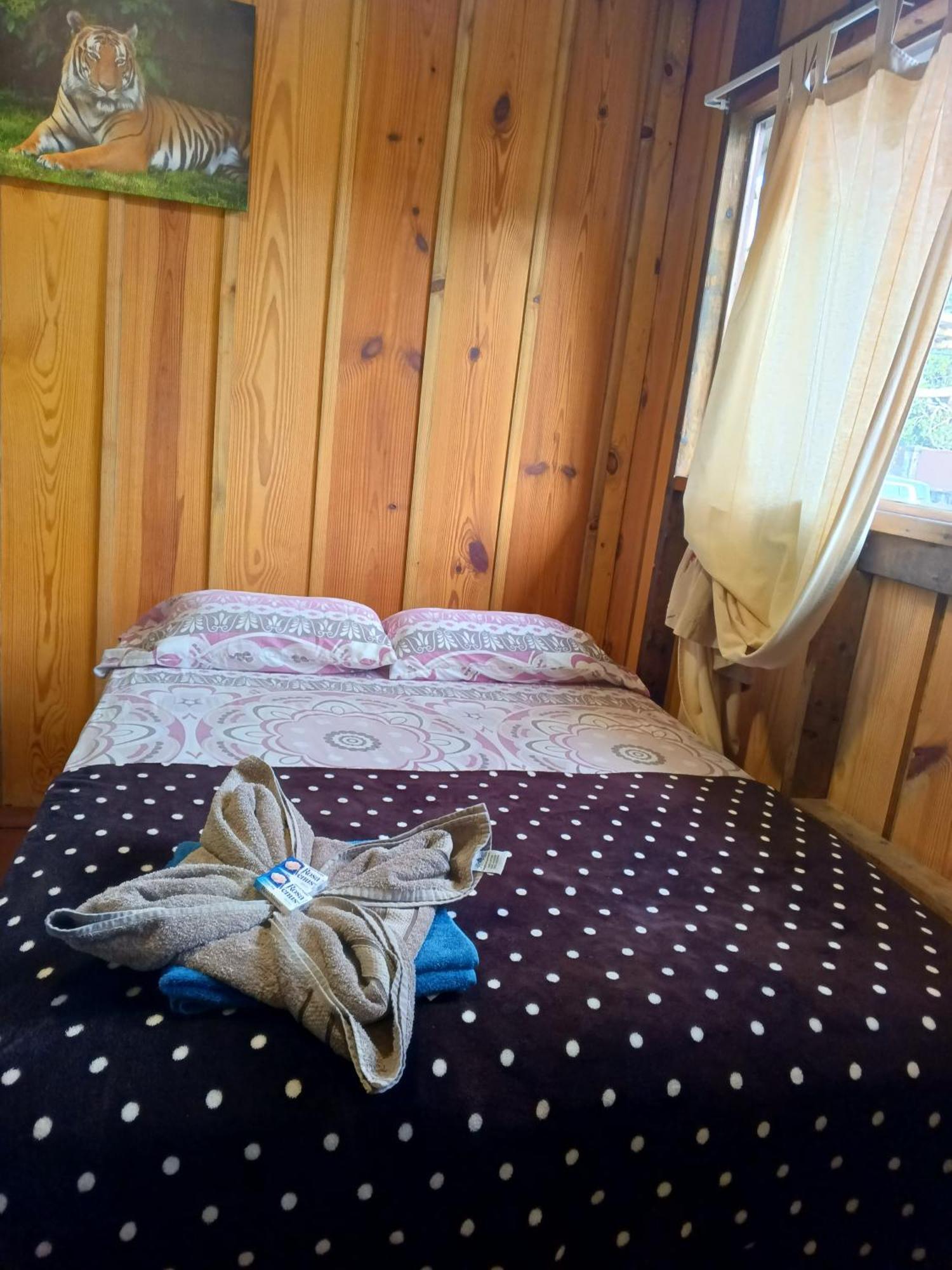 Hostal Vista Boquete Bajo Boquete 外观 照片