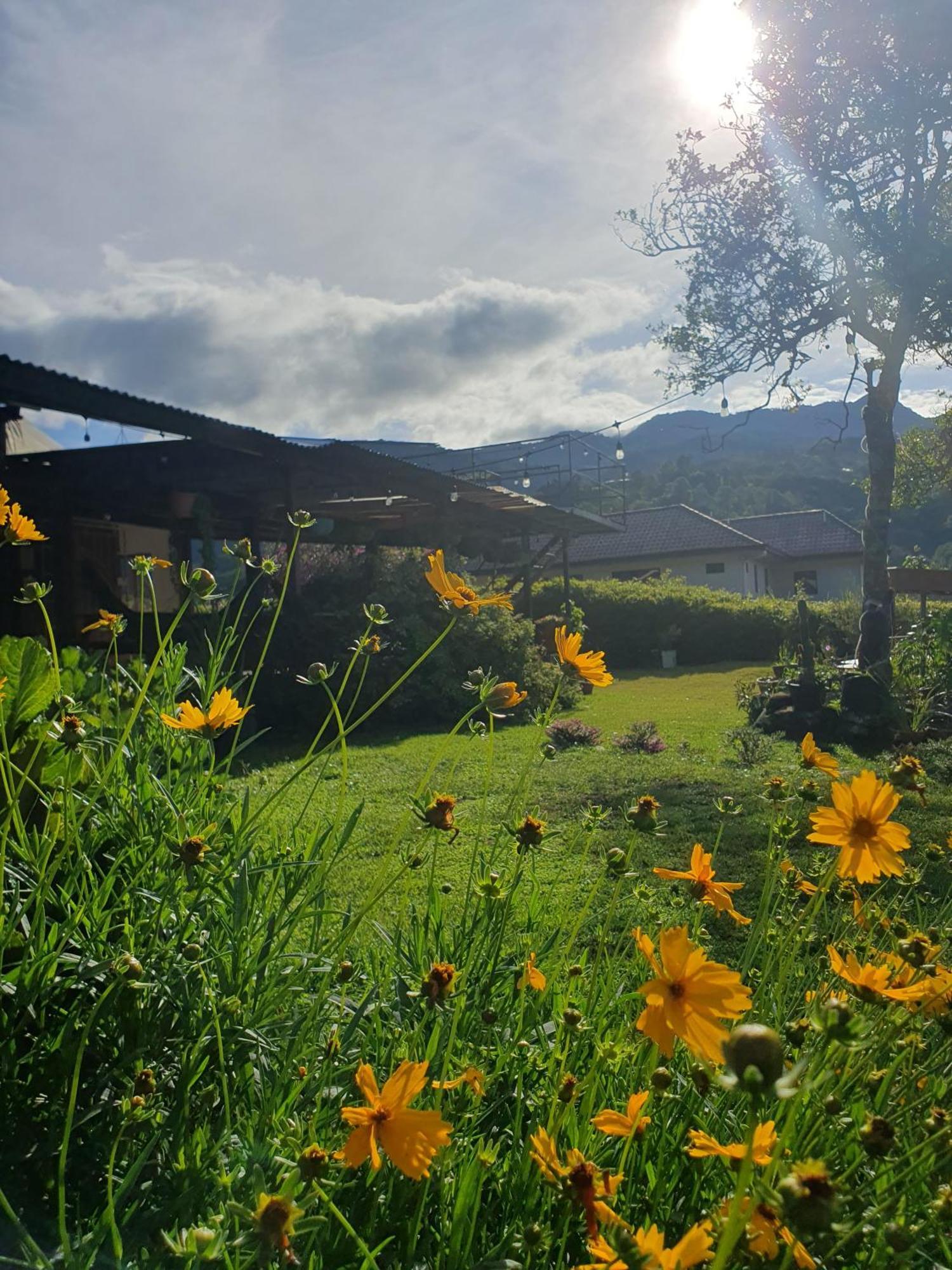 Hostal Vista Boquete Bajo Boquete 外观 照片