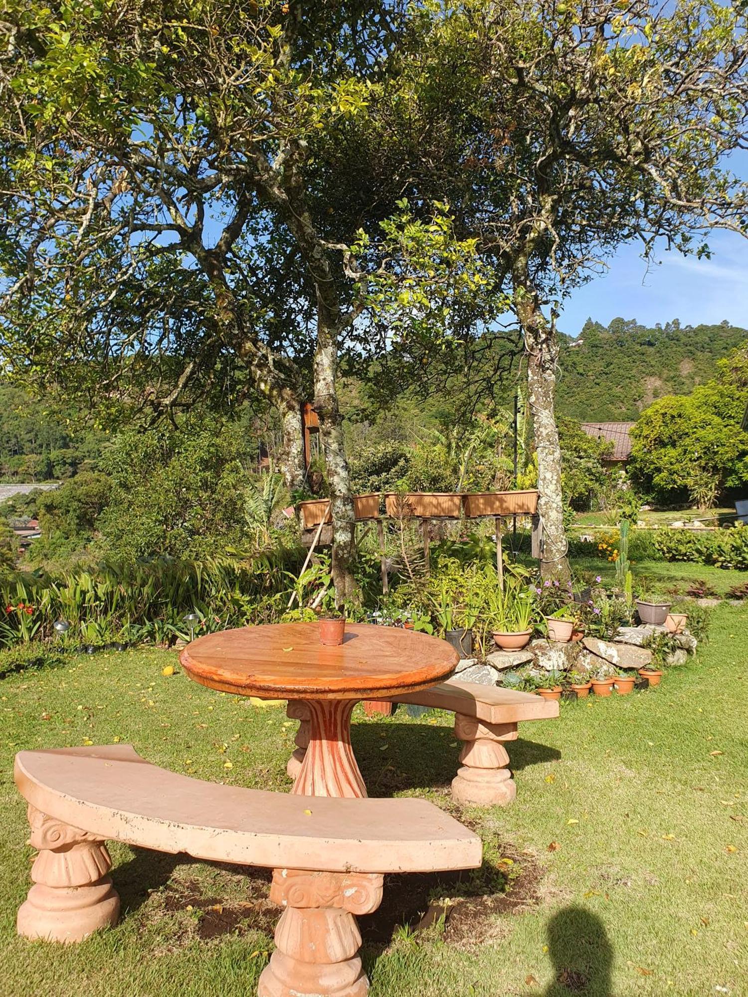 Hostal Vista Boquete Bajo Boquete 外观 照片