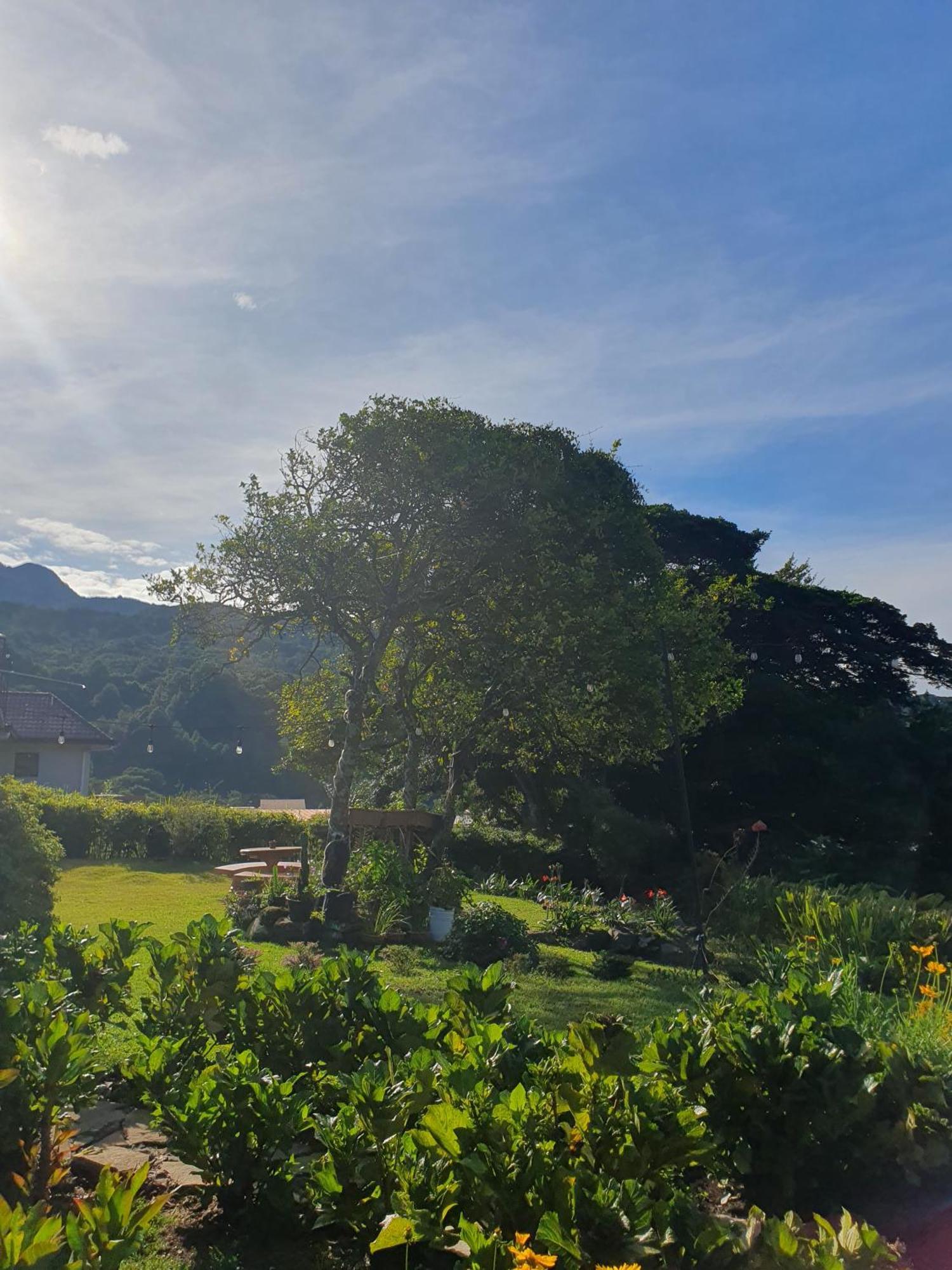 Hostal Vista Boquete Bajo Boquete 外观 照片